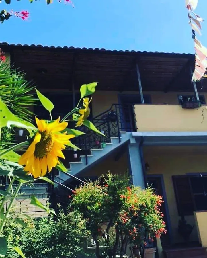 Hotel Casa Tognetti Migliarino Pisano Affittacamere