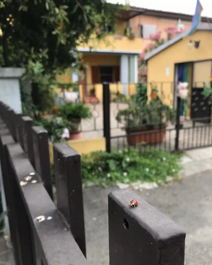 Affittacamere Hotel Casa Tognetti Migliarino Pisano