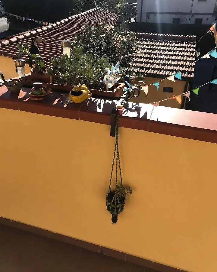 Hotel Casa Tognetti Migliarino Pisano Affittacamere