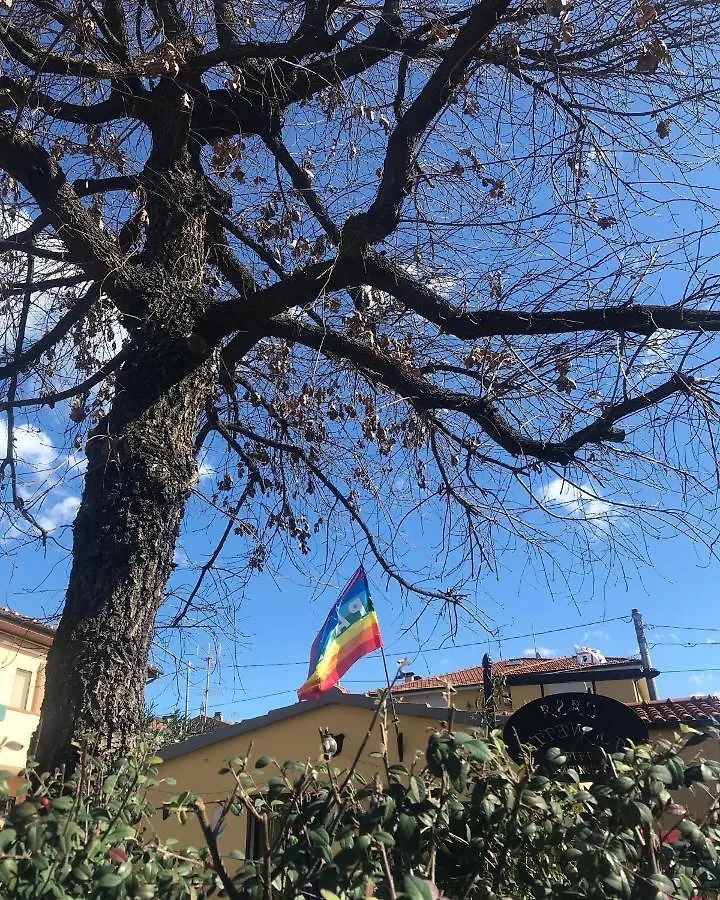 Affittacamere Hotel Casa Tognetti Migliarino Pisano