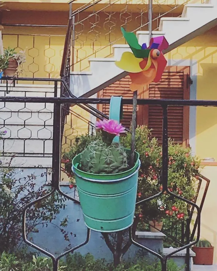 Affittacamere Hotel Casa Tognetti Migliarino Pisano Italia