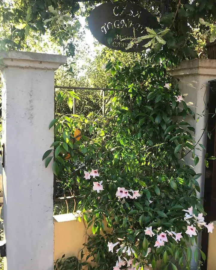 Affittacamere Hotel Casa Tognetti Migliarino Pisano
